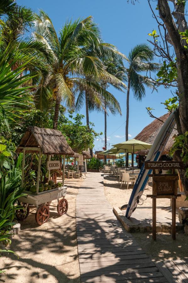 Hotel Casa Colibri Playa del Carmen Ngoại thất bức ảnh