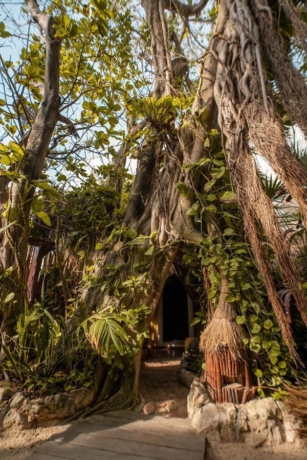 Hotel Casa Colibri Playa del Carmen Ngoại thất bức ảnh