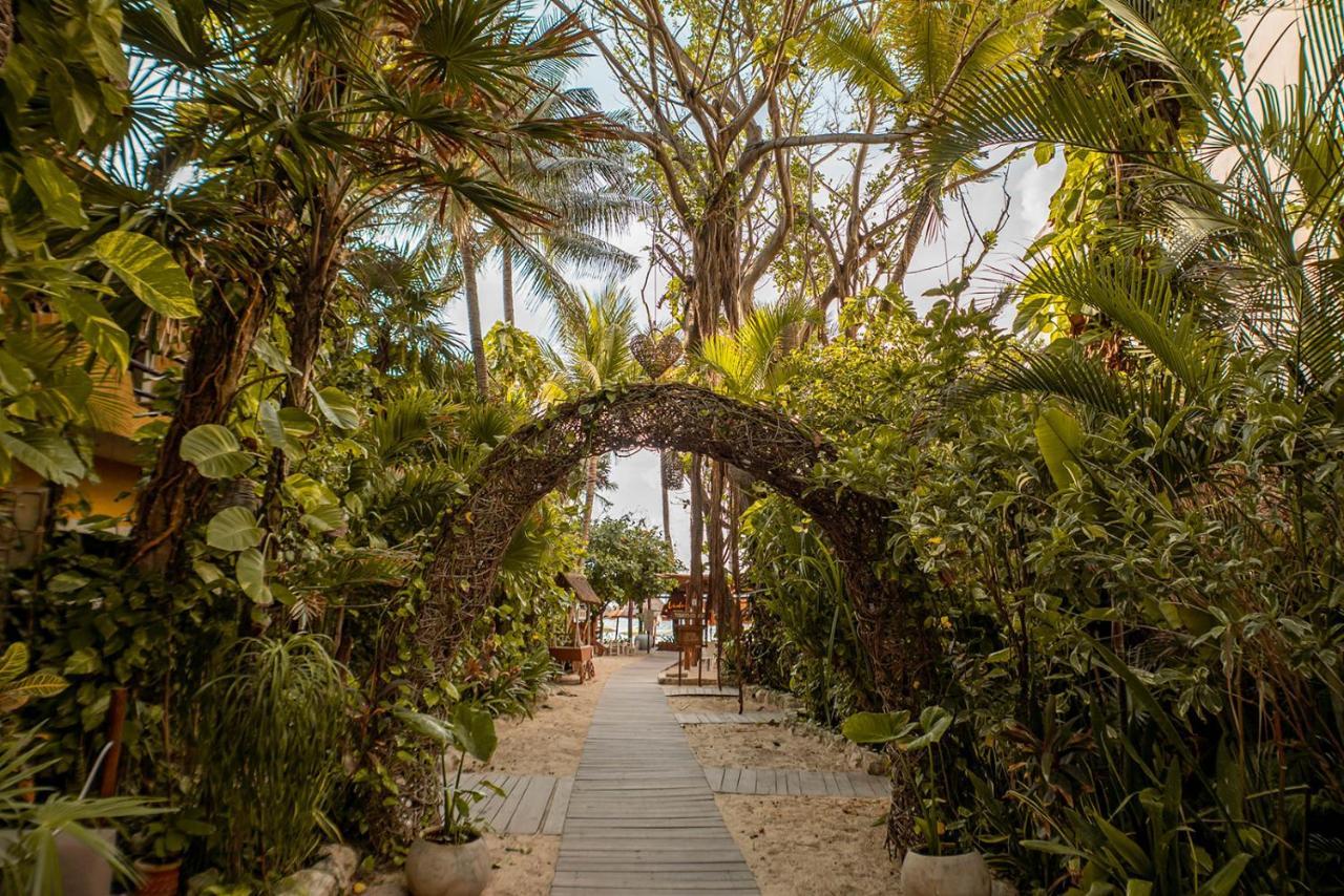 Hotel Casa Colibri Playa del Carmen Ngoại thất bức ảnh