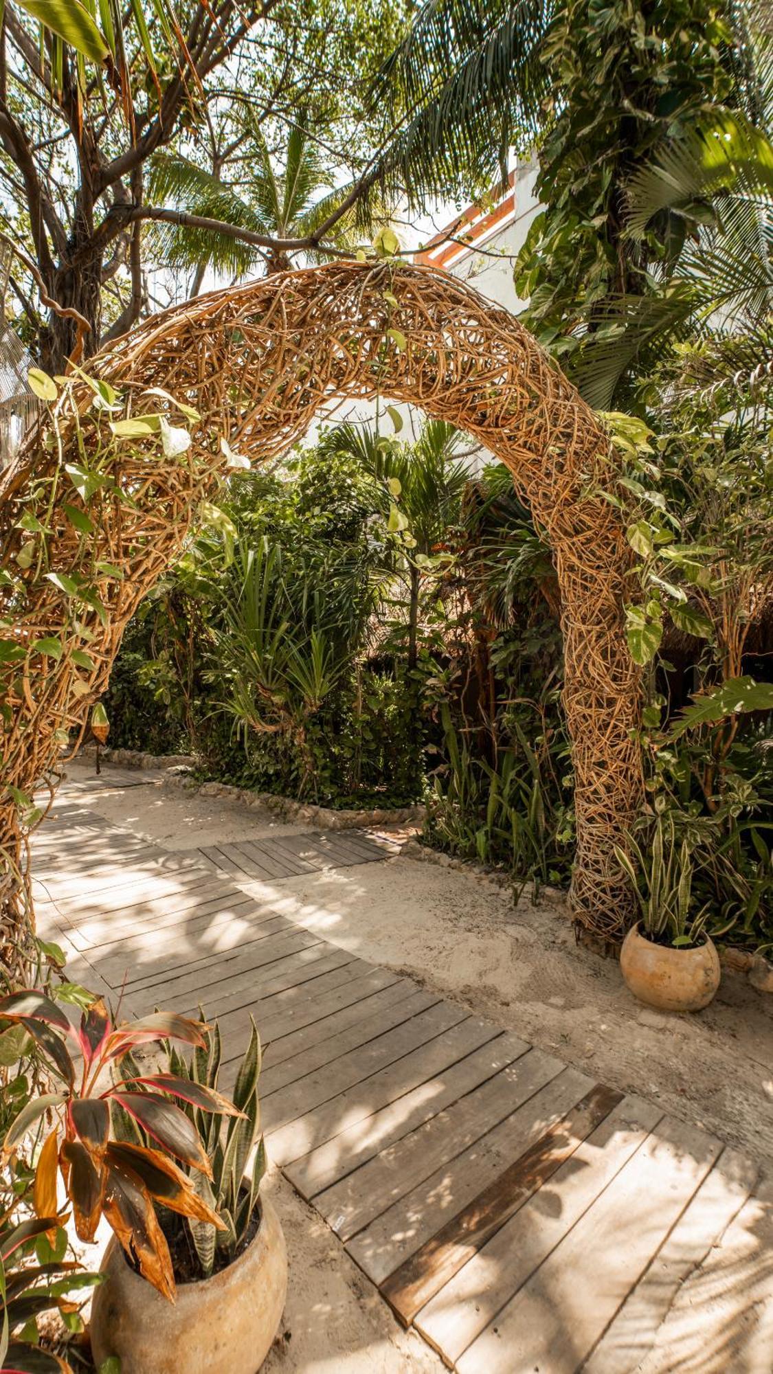 Hotel Casa Colibri Playa del Carmen Ngoại thất bức ảnh
