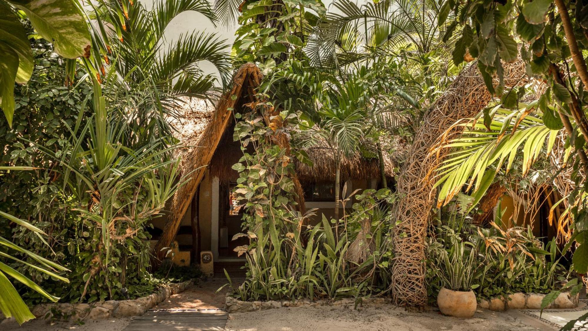 Hotel Casa Colibri Playa del Carmen Ngoại thất bức ảnh
